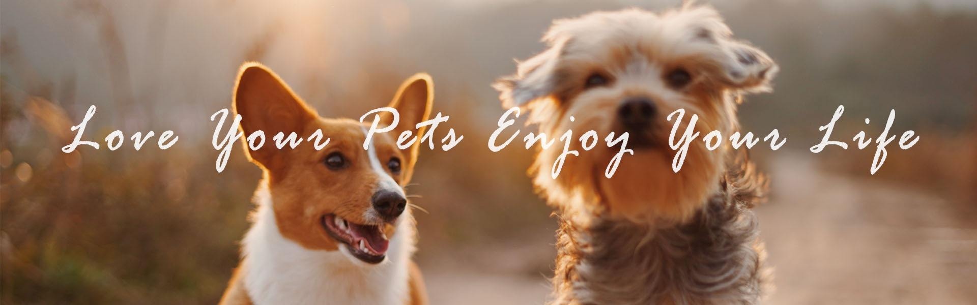 pet products,pet accessories,pet supplies,Furjoyz Pet Products Co., Ltd