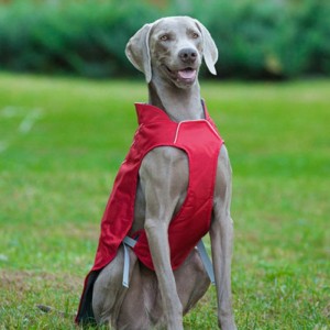 Classic Style Reflective Dog Coat Waterproof Adjustable Winter Dog Jacket Reversible Lightweight